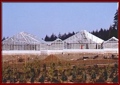 Commercial Greenhouse by Backyard Greenhouses