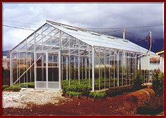 Commercial Greenhouse by Backyard Greenhouses